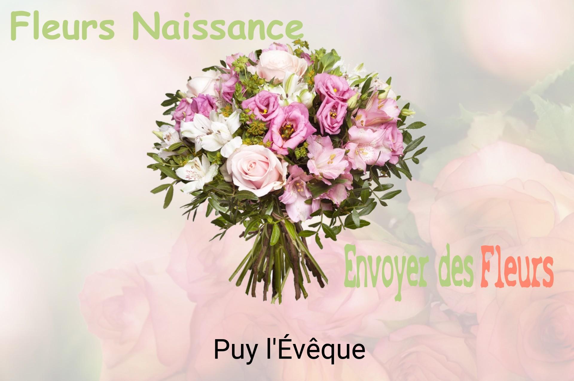 Bouquet de fleurs de naissance livré à Puy-l'Évêque