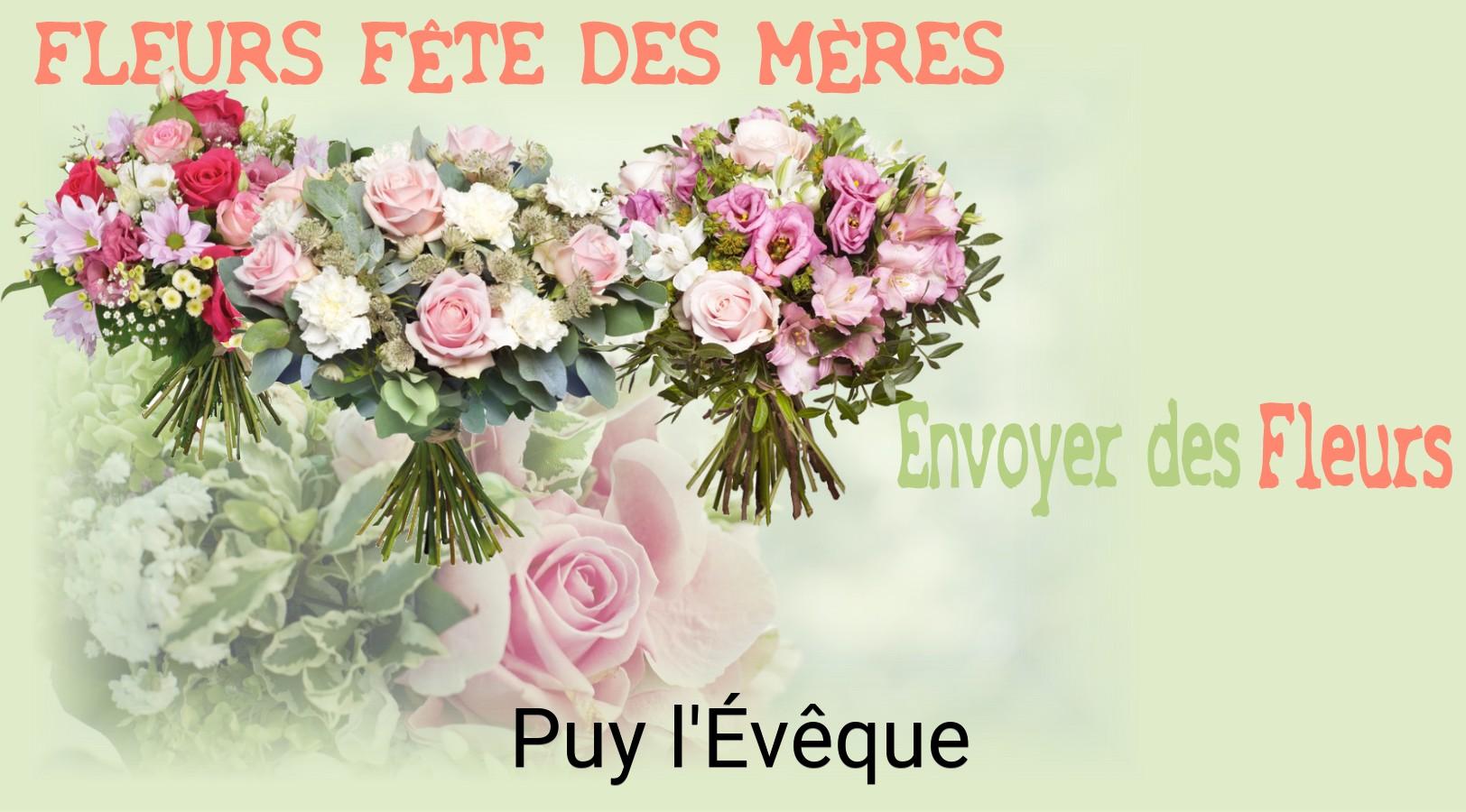 Bouquet de Fête des Mères livré à Puy-l'Évêque